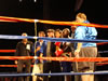 Jamaica Muay Thai Fights